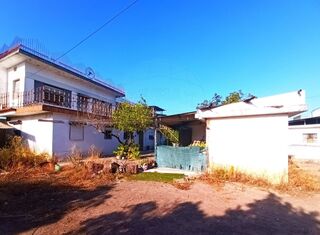 -2125161004551_c9b7f582-17a6-48ab-9973-e302ceb44c2c.jpg