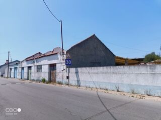 -2125161004554_ff089f0d-2b25-42e9-9e34-1d35d837de3f.jpg