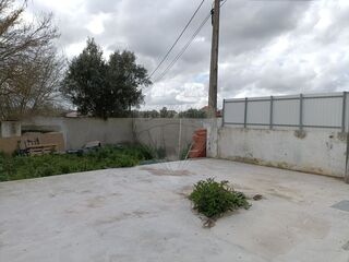 -2125161004574_9239c201-dd27-4336-952e-64940d1f7cf0.jpg
