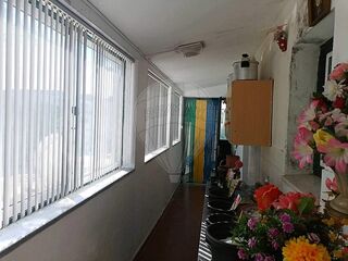 -2125161004582_858debfa-44b5-4ec8-be19-adb49ade0f8b.jpg