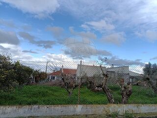 -2125161004582_e8142dc6-9a1b-4c82-9d43-1e874baeec68.jpg