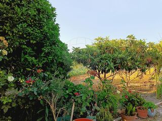 -2125161004585_74a69aea-a8ae-4d76-85f9-d34b1b6f892a.jpg