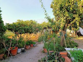 -2125161004585_7cc93863-7144-4115-8ac8-bdc436267c83.jpg