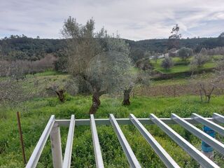 -2125161016239_3e90adce-dd55-4824-9a62-5ce62605775e.jpg