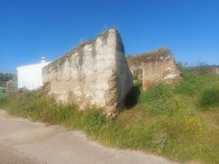 -2125161016245_104521de-0f72-4696-89bc-cbedd28fffc2.jpg