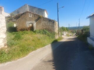 -2125161016245_3d51e9a6-650b-479b-9896-2db1f04c4f73.jpg