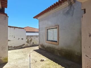 -2125161018047_cf102e05-00ad-4880-ab33-91373ee36be4.jpg