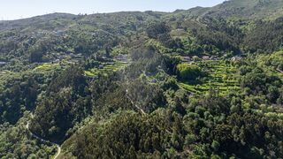 -2125181071183_1c17be1f-014c-41d9-8d35-5de11d850c40.jpg