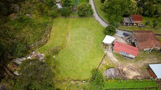 -2125181107175_3e675a36-f083-4a9f-ac9a-bfc7ecaba07b.jpg