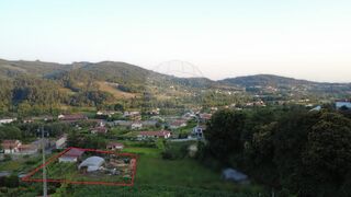 -2125181186006_550f376e-ceca-481a-b9d7-3f7852753c97.jpg