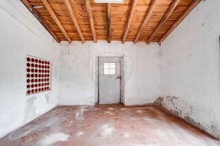 -2125191045107_cc969a67-37a0-4ca8-bd7e-604f80f619b0.jpg