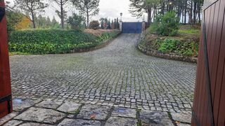 -2125211076023_9cc81ac8-ab4e-4cec-a59a-d5ee1999caa1.jpg
