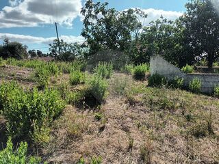 -2125281009155_bcfaa2db-bbe0-4a7b-8566-a19900a5ac0e.jpg