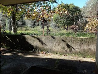 -2125281032144_3465447f-6a96-4e0b-abeb-27c86c933688.jpg