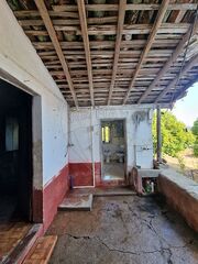 -2125281055044_a2987fe6-fb1f-4652-a1bf-43adbcb24623.jpg