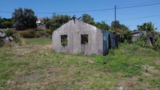 -2125311026162_1e484851-42db-4fa2-929a-59d151337e59.jpg