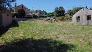-2125311026162_b0c110e2-dceb-42e2-a579-0e01179319c8.jpg