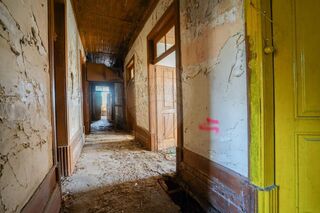 -2125311026171_729a5a30-ed8b-4548-a2d0-67f18b03a0ab.jpg