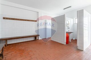 -2125311060049_457bd0c0-3d85-4f7f-bfcb-f5c6fec4392f.jpg