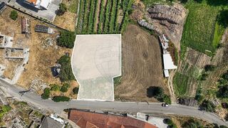-2125311164073_bfae061f-4bd6-45ee-a350-0898b30387f1.jpg