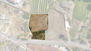 -2125311164073_f68288b9-3d94-48bc-be97-f74681da8a41.jpg