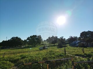 -2125331019227_3d18a8aa-cc7d-4581-bdff-acf2ba1cc92b.jpg