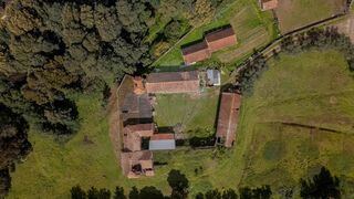 -2125381124011_0ac5e676-41a7-4d27-8fc3-3a900201d334.jpg