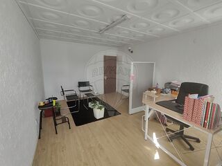 -2125421035106_751787e5-d7f6-4ddd-aef8-eb7c6bb720b7.jpg