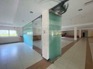 -2125421124017_6ea571c4-48a1-4b00-a94c-c90d33c5e366.jpg