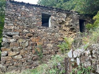 -2125461048619_4a1dbce5-da31-466d-803a-ba6485da61c4.jpg
