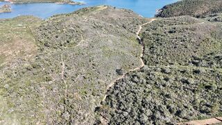 -2125541024085_1ab4d31f-9aa9-4d5d-b0b1-beaf6e437c0f.jpg