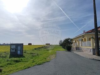 -2125591040036_11eb6146-ab76-4873-8696-d17caff3321f.jpg
