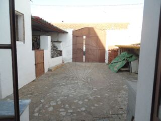 -2125591052004_d2fa091d-fb0b-448f-b665-fab300dee1de.jpg