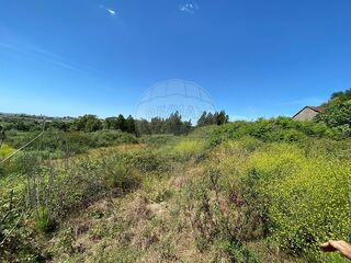 -2125631102056_32fc9289-e992-49e7-a068-d4705d0182ff.jpg