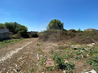 -2125631102056_ab751a11-99ac-4207-b35d-2121d7ed9e43.jpg