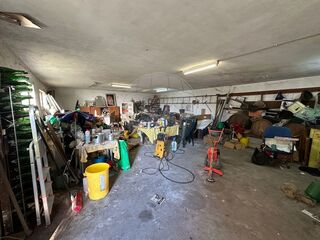 -2125631203001_df287602-14dc-4318-96ef-dd456a748db8.jpg