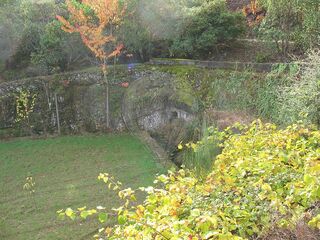 -2125671007173_4dd232fd-b3ed-4db2-9aee-44007965af8e.jpg