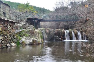 -2125671021096_87bc49aa-26d5-431e-9ce5-f2bcd6055c4a.jpg