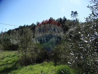 -2125671031022_04f8d17e-9ca4-473e-a33c-5441c9a3ae78.jpg