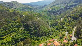 -2125681025130_4b0de783-b150-468b-a0bb-ed8557d4cbe4.jpg