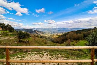 -2125681025166_fede2520-42cc-466b-8d16-95160a67d586.jpg