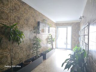-2125681025167_823a1064-69b7-40de-ae80-dbd67d51c7af.jpg