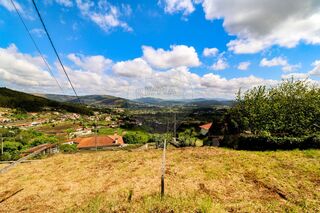 -2125681137002_15a72798-043f-4abb-ab52-d8d444545251.jpg