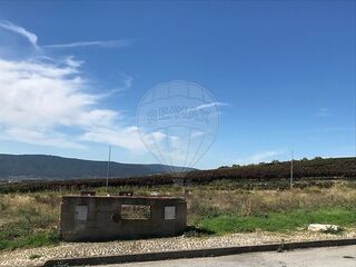 -2125801018011_03142cc5-ed4c-4425-a00c-ba1e2742e2f2.jpg