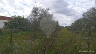 -2125801073005_b7b526ec-4362-41e9-a7bb-7736d22e52d4.jpg