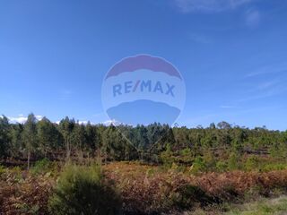 -2125841004067_088f641e-36f1-41d2-ac05-8179115f7fc3.jpg