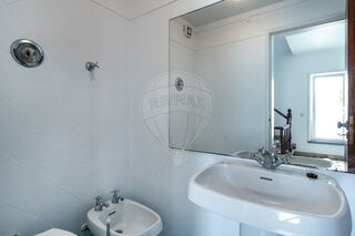 -2125871034036_773e17b0-d696-479b-b9e0-eb1adb04ee35.jpg