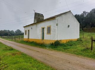 -2125871108016_93637160-8e33-4608-8798-83b4572bfe05.jpg