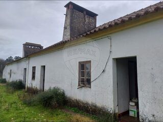 -2125871108016_cc0d4dce-a274-4a7a-ab38-31e688986bf6.jpg