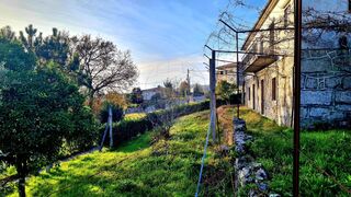 -2125901007188_60d1240d-7d2a-4bef-8be4-1f15a31feaea.jpg
